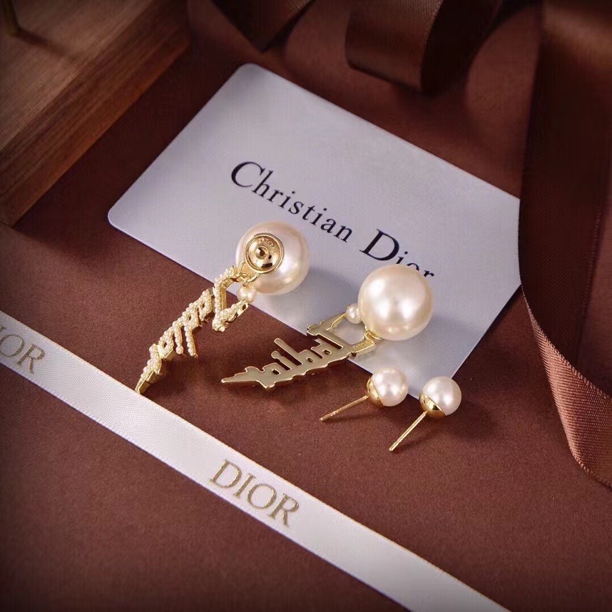Dior Earrings CE14205