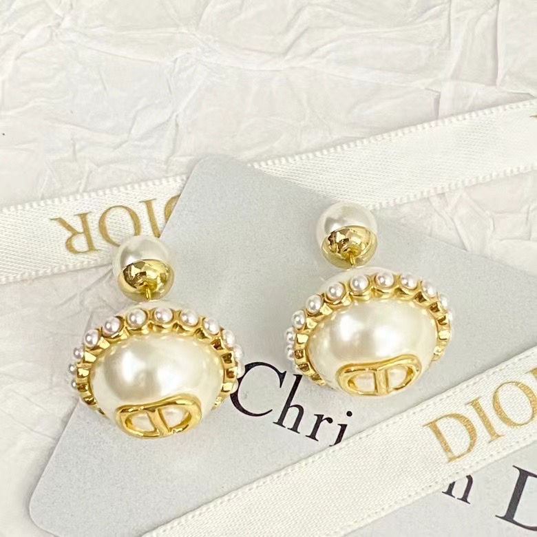 Dior Earrings CE14209
