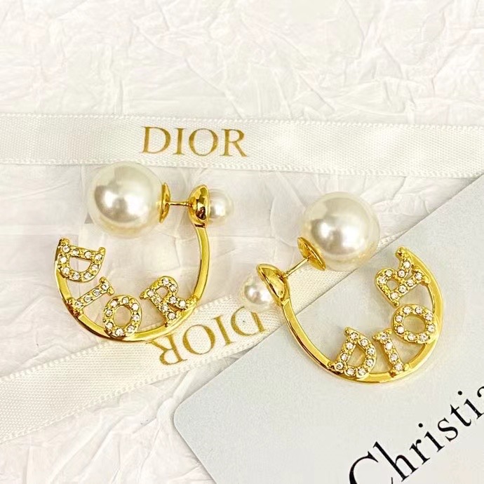 Dior Earrings CE14213