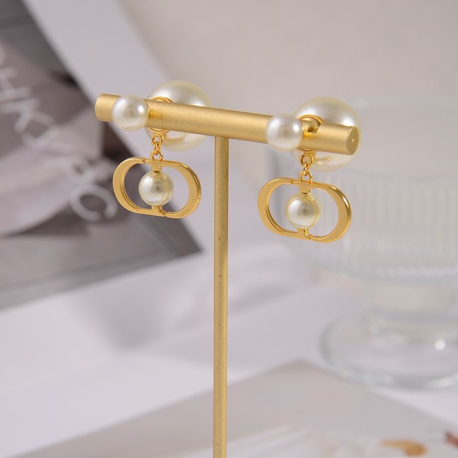 Dior Earrings CE14220