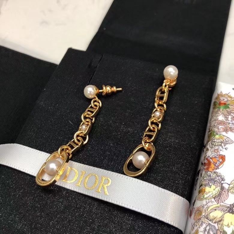 Dior Earrings CE14236