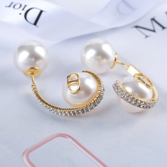 Dior Earrings CE14241