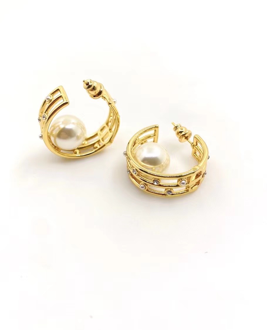 Dior Earrings CE14251