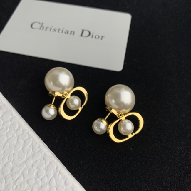 Dior Earrings CE14220