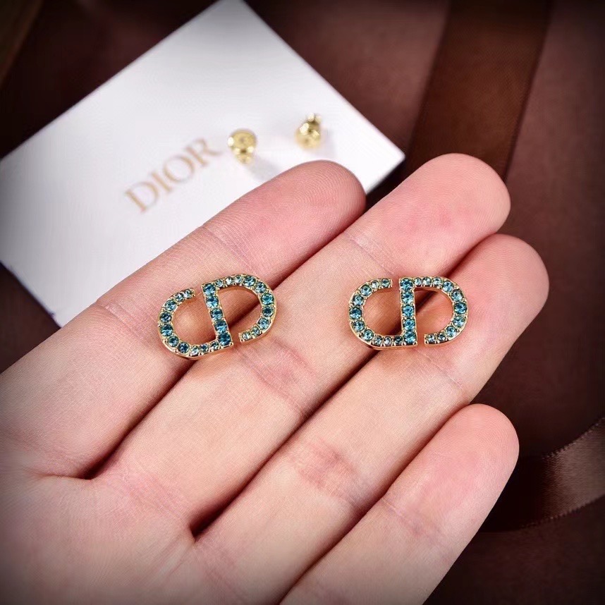 Dior Earrings CE14416
