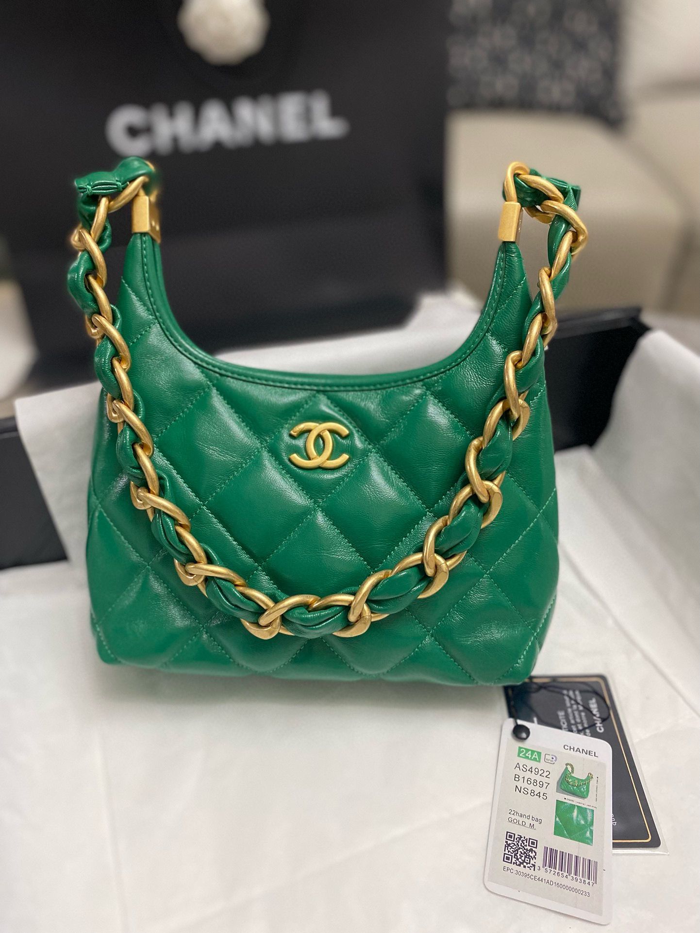 Chanel 24A Original Leather Hobo Bag AS4922 AS4923 Green