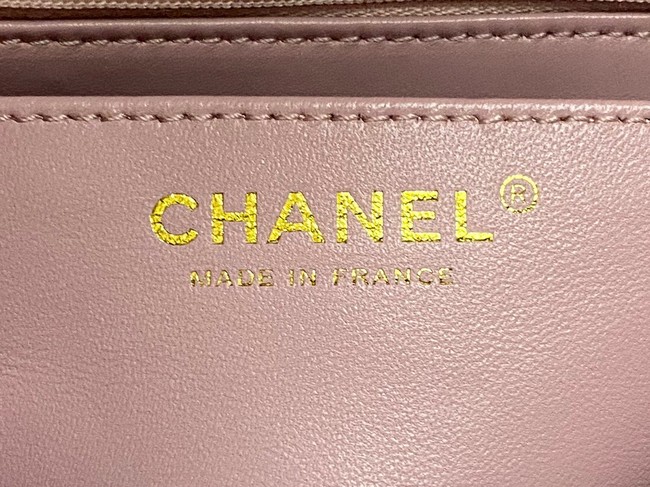 Chanel MINI FLAP BAG WITH TOP HANDLE AS4924 pink