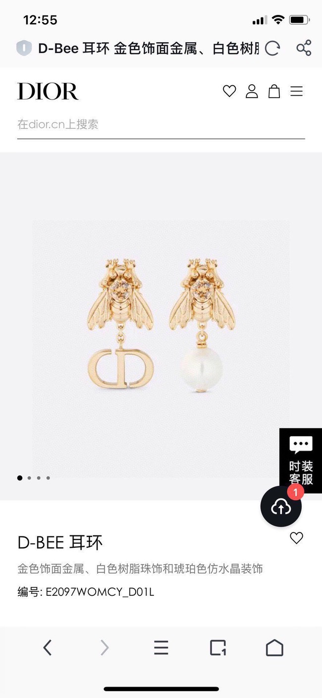 Dior Earrings CE14551