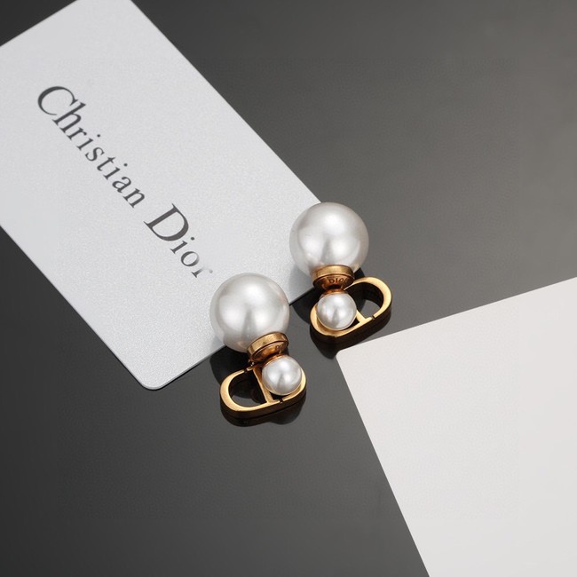 Dior Earrings CE14564