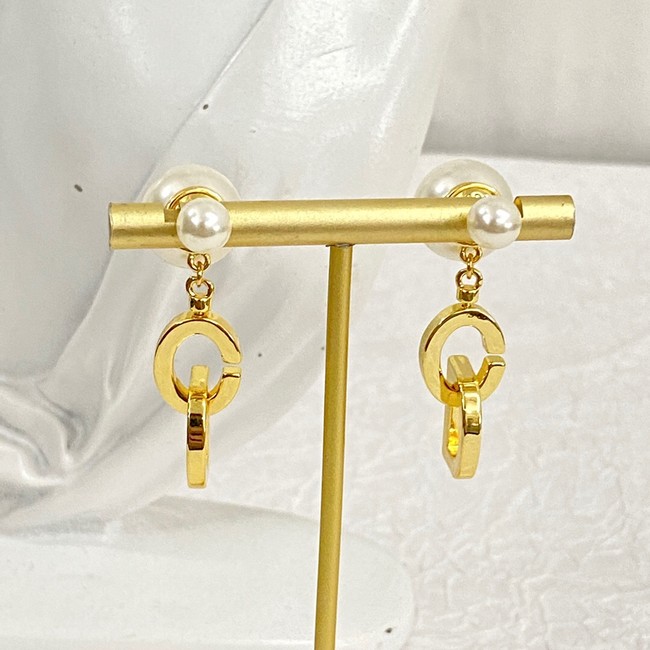 Dior Earrings CE14628