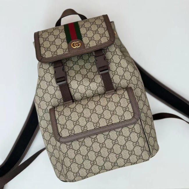 GUCCI AOPHIDIA SMALL GG BACKPACK 792114 Brown