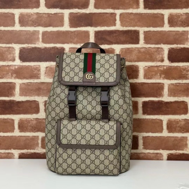 GUCCI AOPHIDIA SMALL GG BACKPACK 792114 Brown