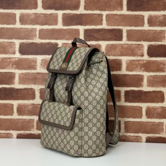 GUCCI AOPHIDIA SMALL GG BACKPACK 792114 Brown