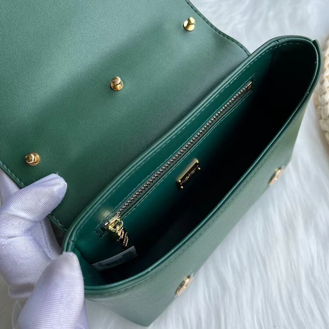 Dolce & Gabbana leather bag G6002 green