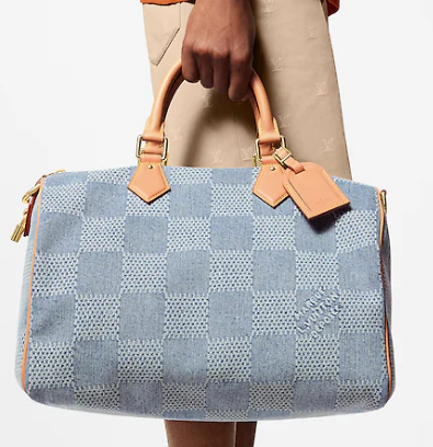 Louis Vuitton Speedy 40 Bandouliere N40701 Blue