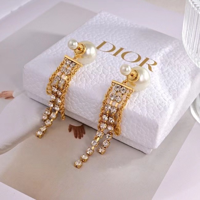 Dior Earrings CE14667