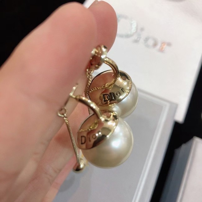 Dior Earrings CE14685