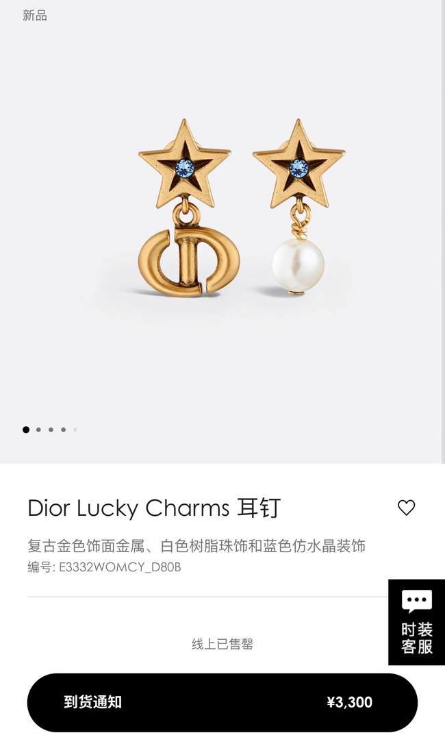 Dior Earrings CE14706