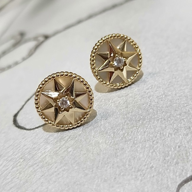 Dior Earrings CE14718