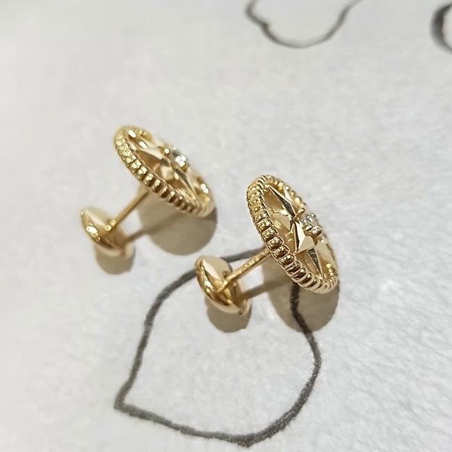 Dior Earrings CE14718