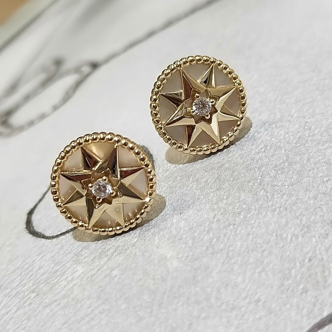 Dior Earrings CE14718