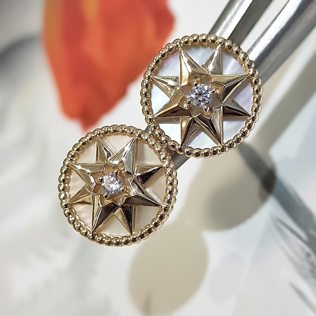 Dior Earrings CE14718