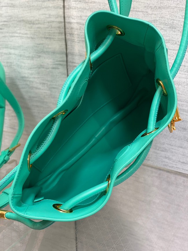 Dioriviera Medium Dior Nolita Bag Calfskin M2312UBGQ green