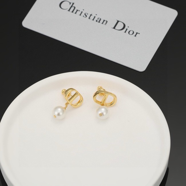 Dior Earrings CE14731