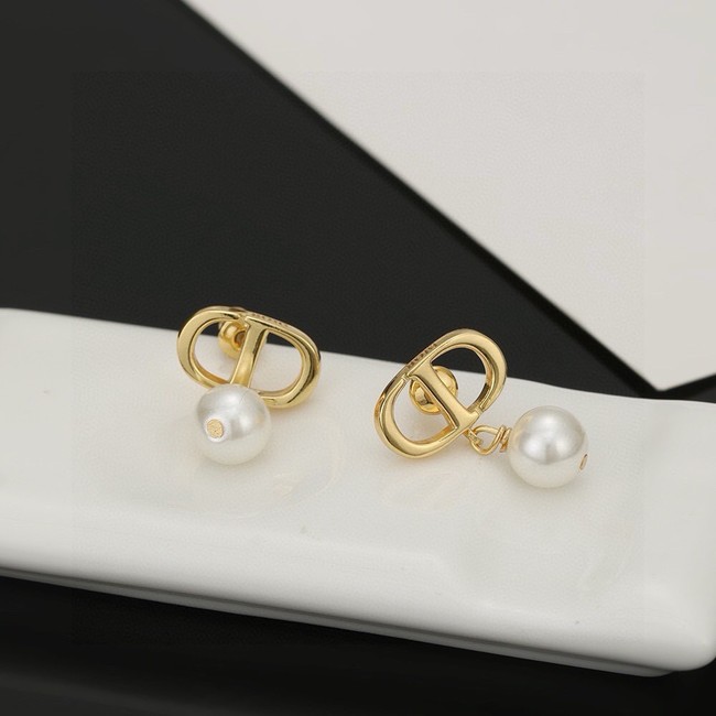 Dior Earrings CE14731