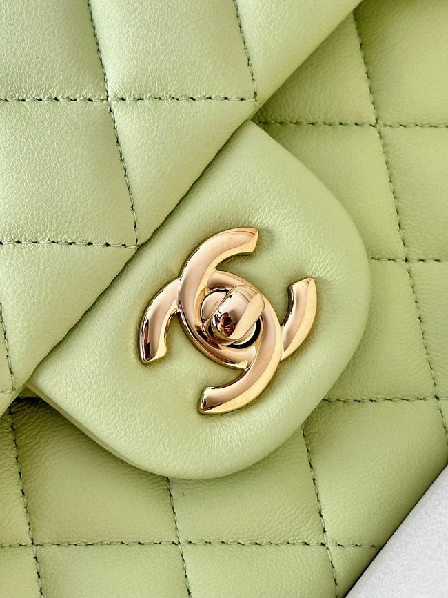 Chanel CLASSIC HANDBAG Lambskin & Gold-Tone Metal A01113 light green