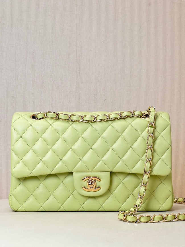 Chanel CLASSIC HANDBAG Lambskin & Gold-Tone Metal A01113 light green