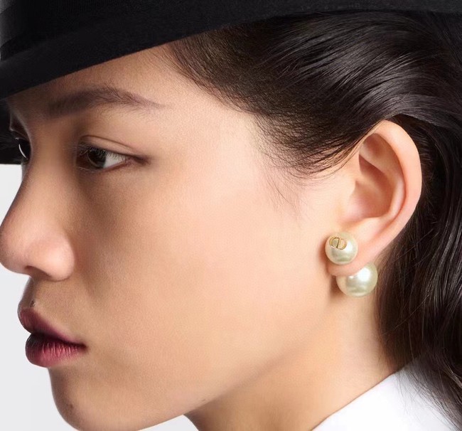 Dior Earrings CE14853