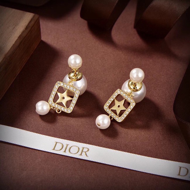 Dior Earrings CE14855