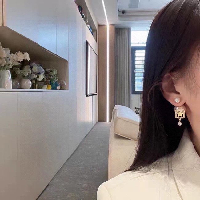 Dior Earrings CE14855