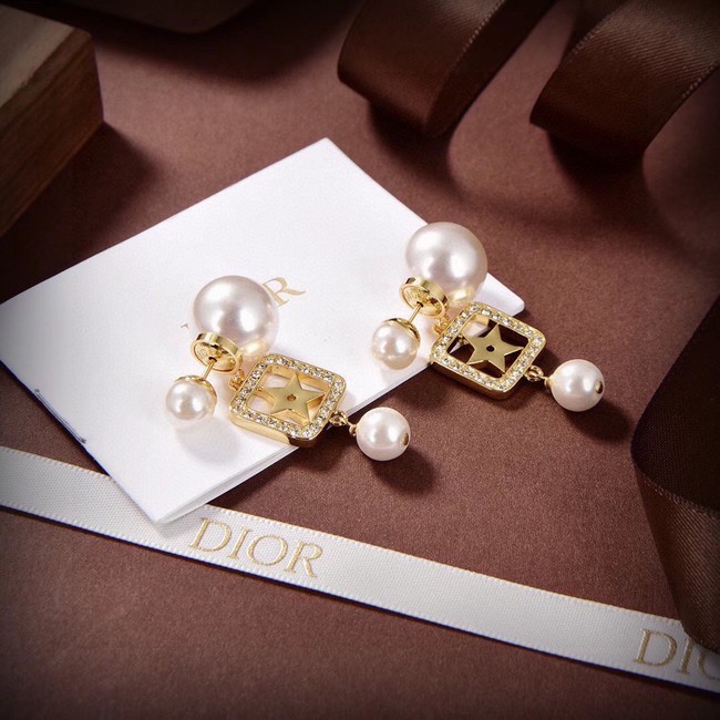 Dior Earrings CE14855