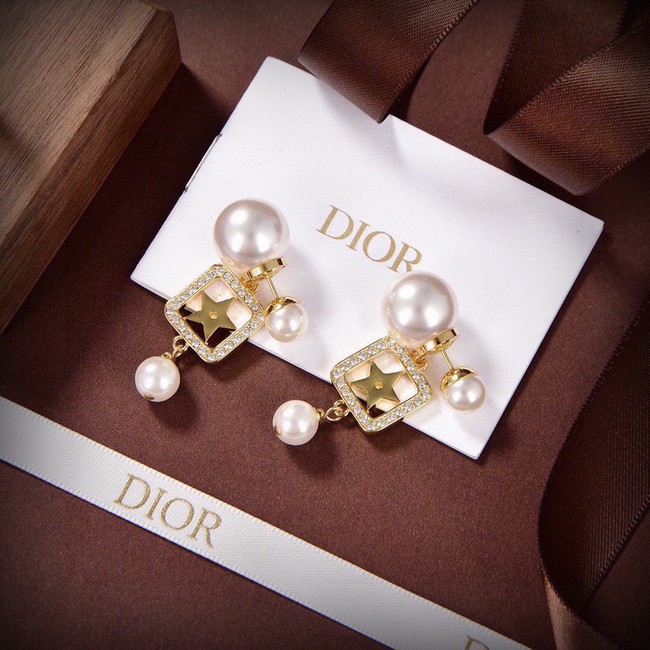 Dior Earrings CE14855