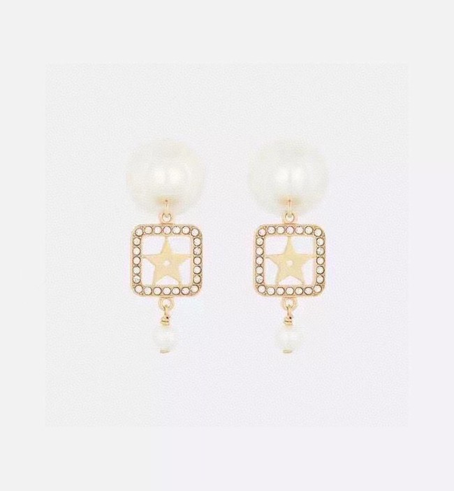 Dior Earrings CE14855