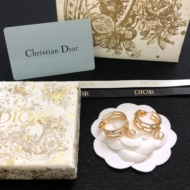 Dior Earrings CE14872