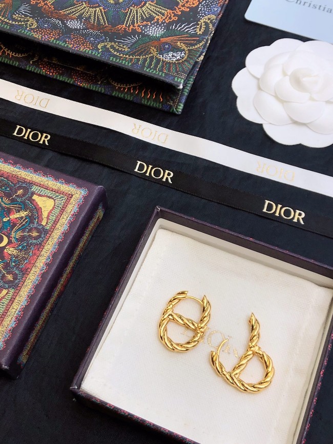 Dior Earrings CE14873