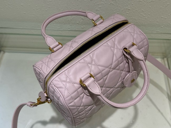 Dior Groove 25 Bag pink Macrocannage Calfskin M1365UB