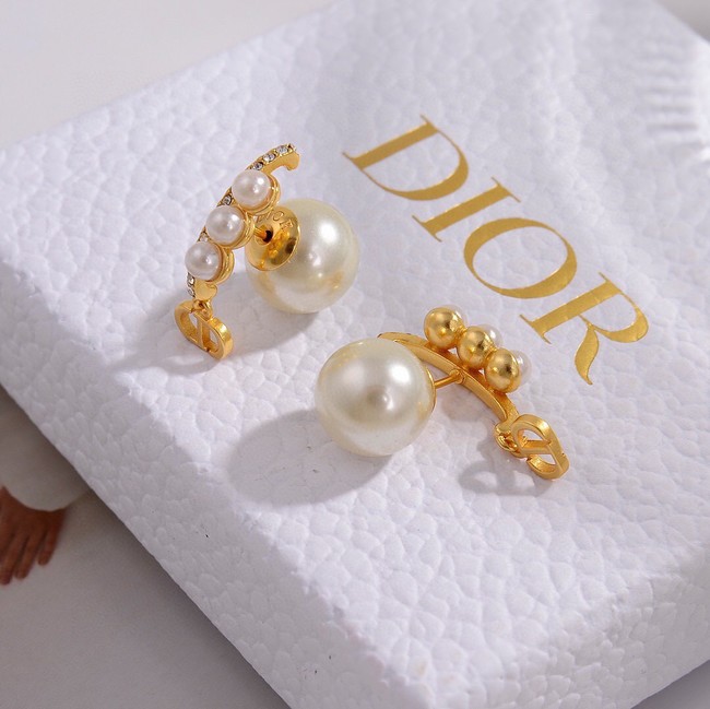 Dior Earrings CE14910