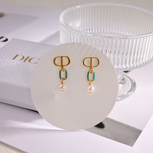 Dior Earrings CE14917