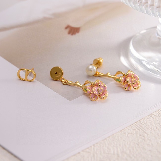 Dior Earrings CE14919