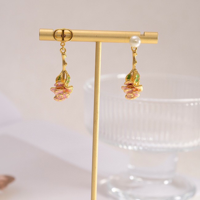 Dior Earrings CE14919