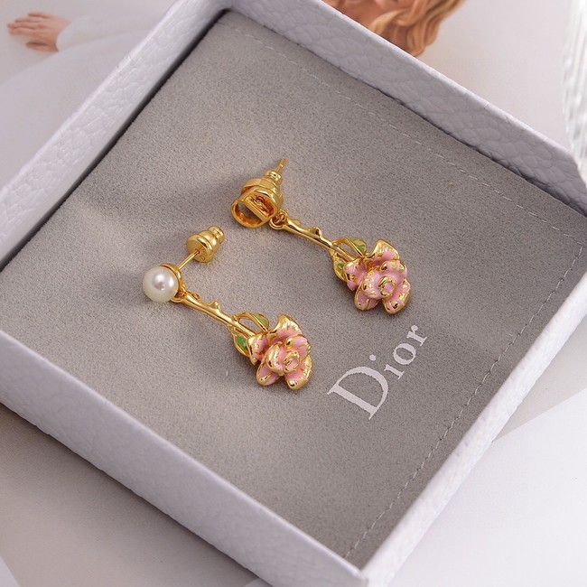 Dior Earrings CE14919