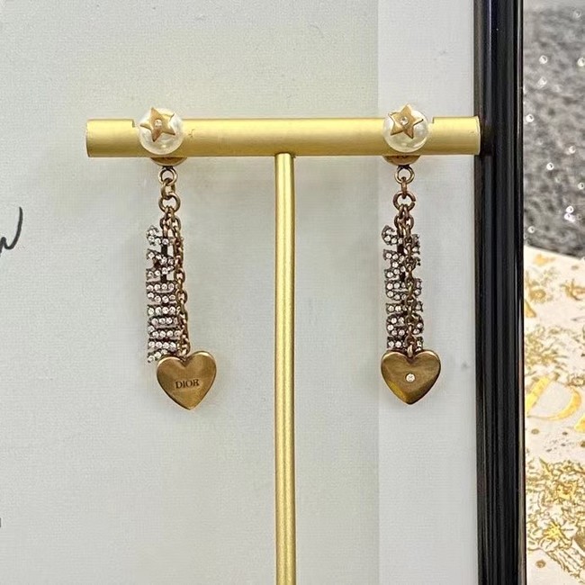 Dior Earrings CE15003