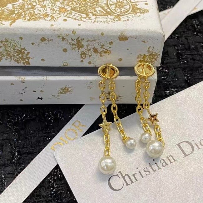 Dior Earrings CE15007