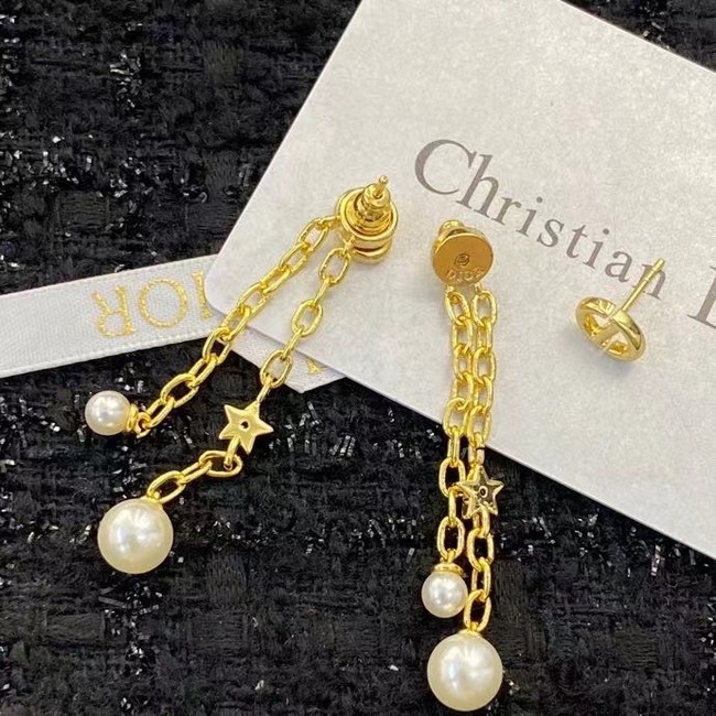 Dior Earrings CE15007