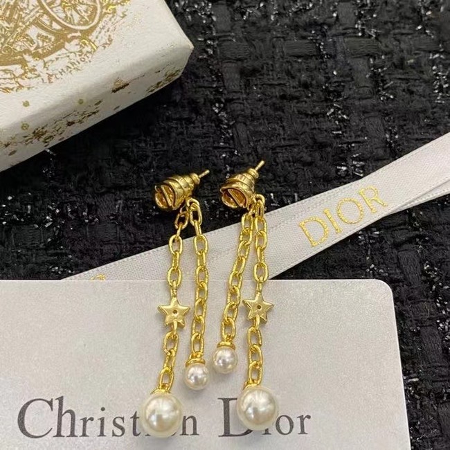 Dior Earrings CE15007