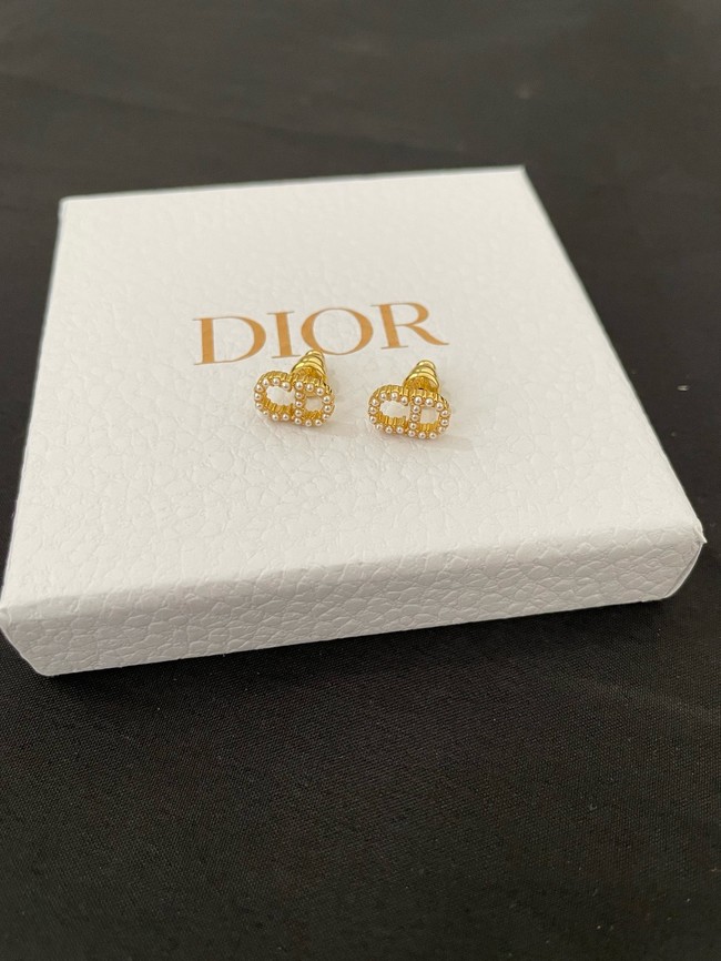 Dior Earrings CE15011